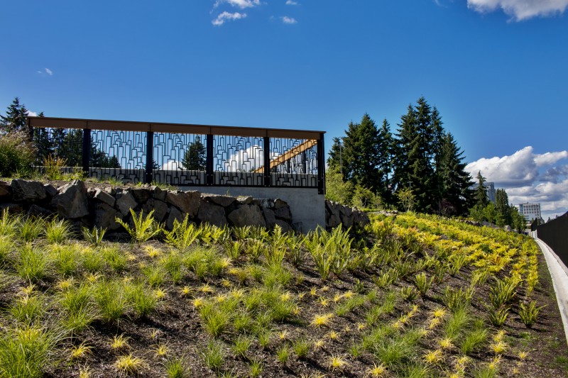 Revamp Cascade Railing System Overlooking City Park 