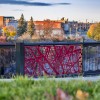 Red Nest Pattern Railing Panel in Park Overlooking City 
